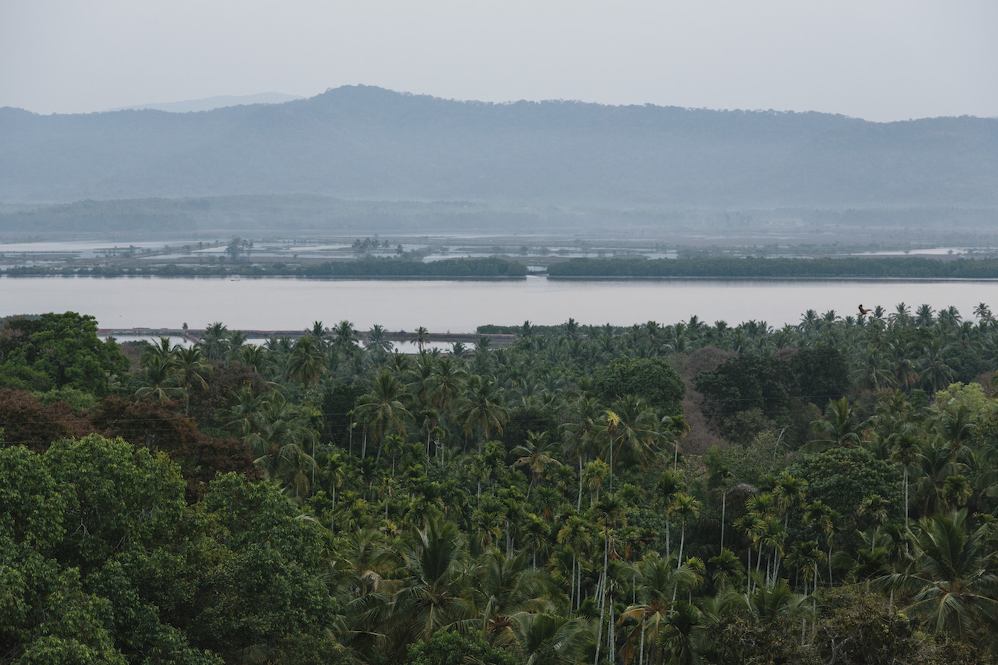 Link to NH 66 expansion hit more lives, ecology than estimated: Study