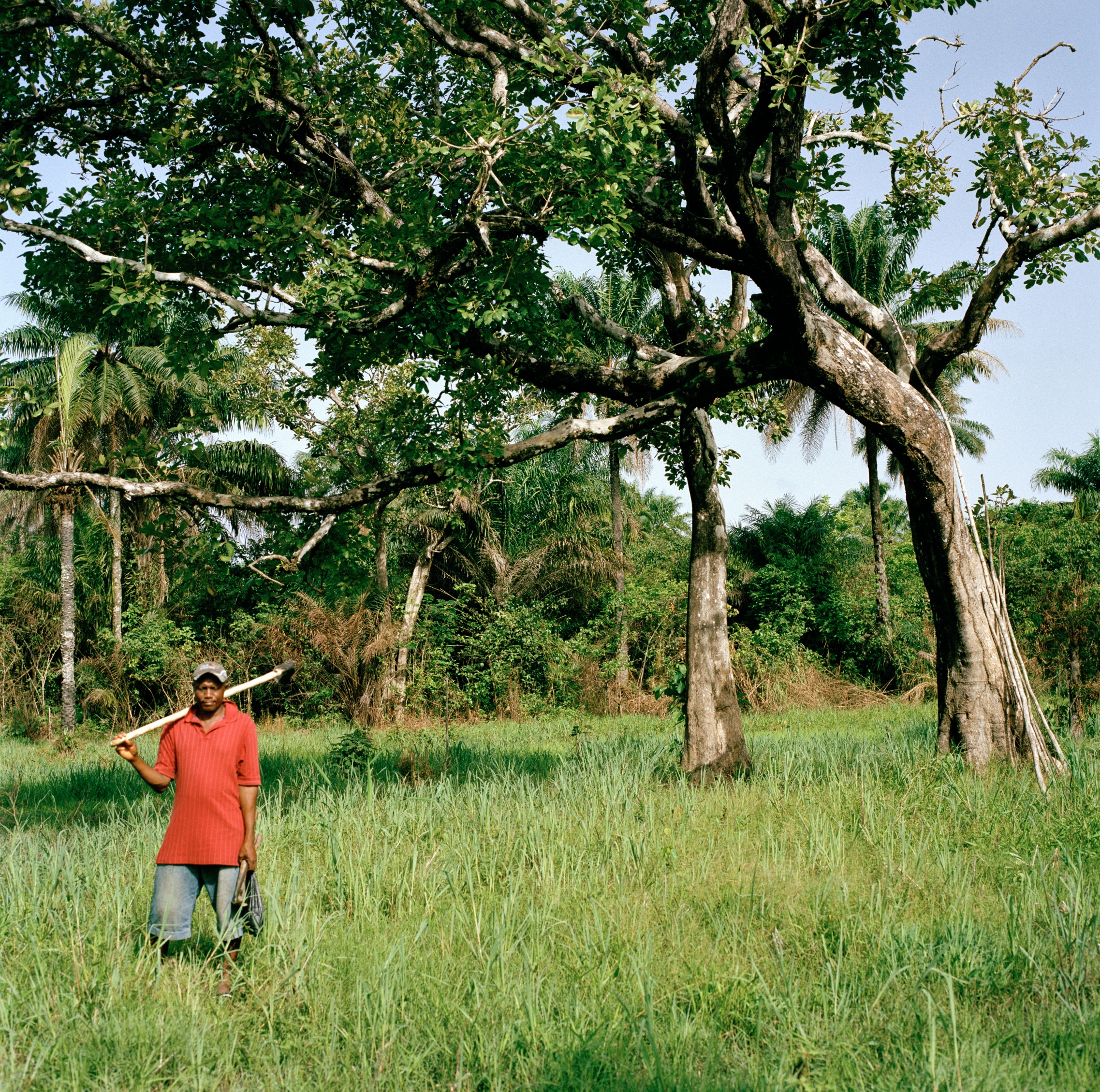 Link to Using legal empowerment to fight exploitative land investors in Sierra Leone