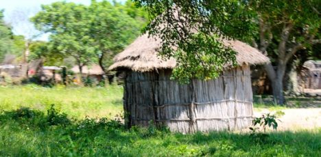 Opens popup gallery with Traditional storage in rural Mozambique.