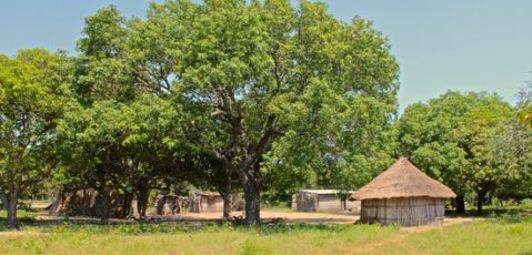 Opens popup gallery with A traditional homestead.