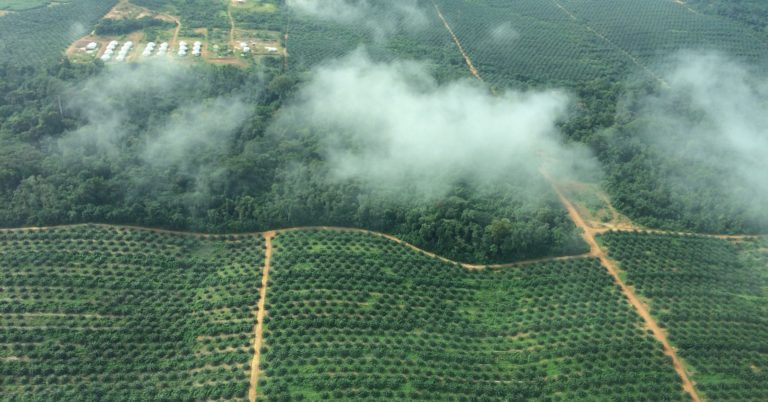 Link to Communities need land rights to gain from investments