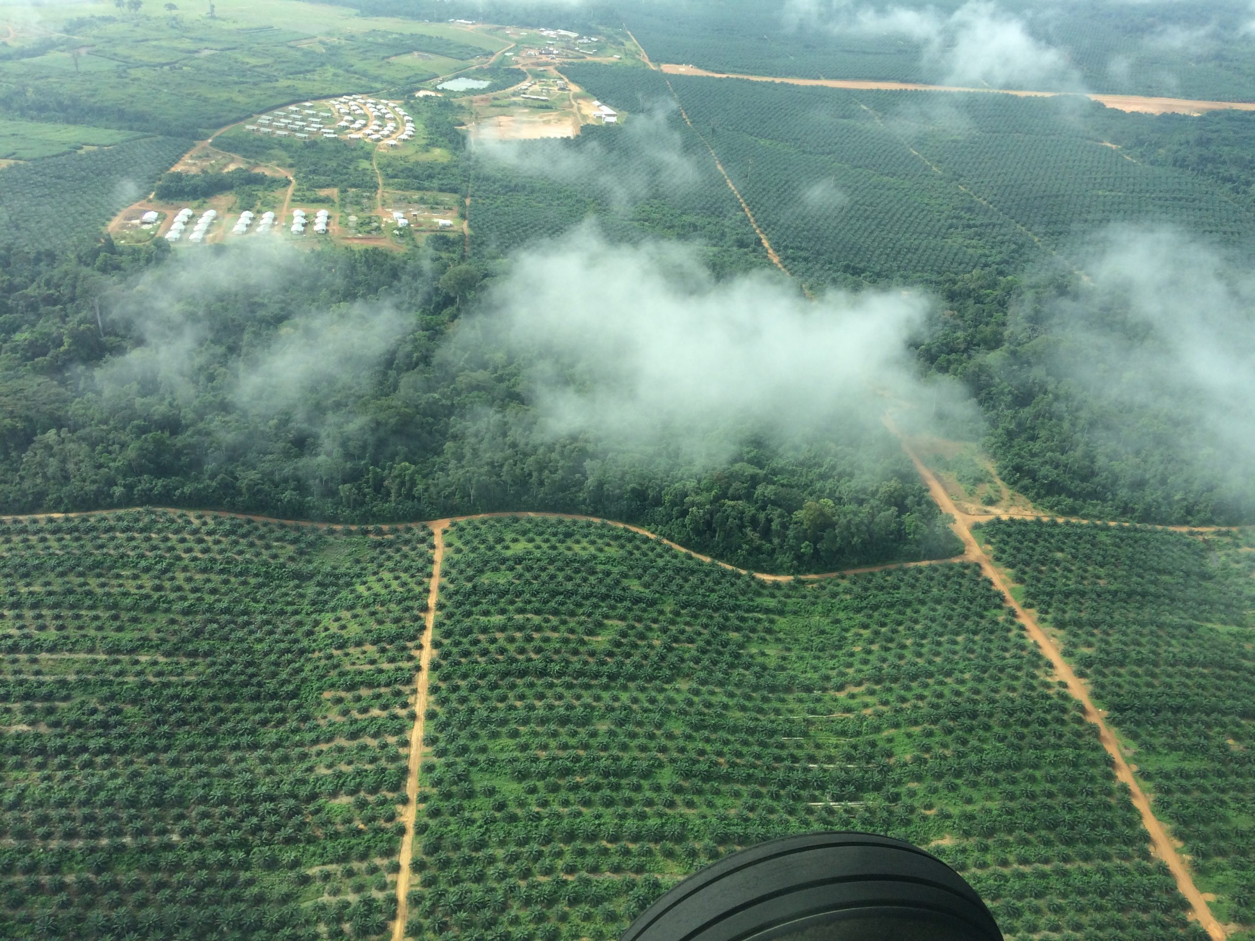 Communities need land rights to gain from investments