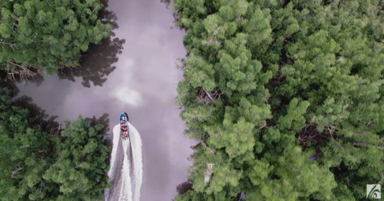 Link to People Rising: Carbon Justice